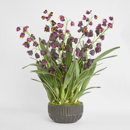 Mandine Arrangement Black