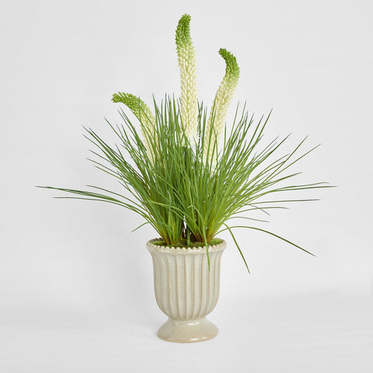 Cream Foxtail Arrangement Taupe