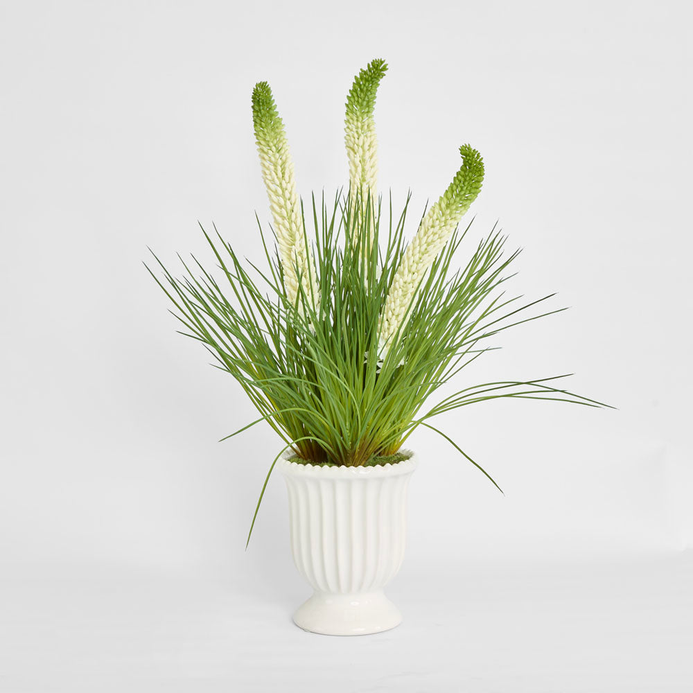 Cream Foxtail Arrangement White