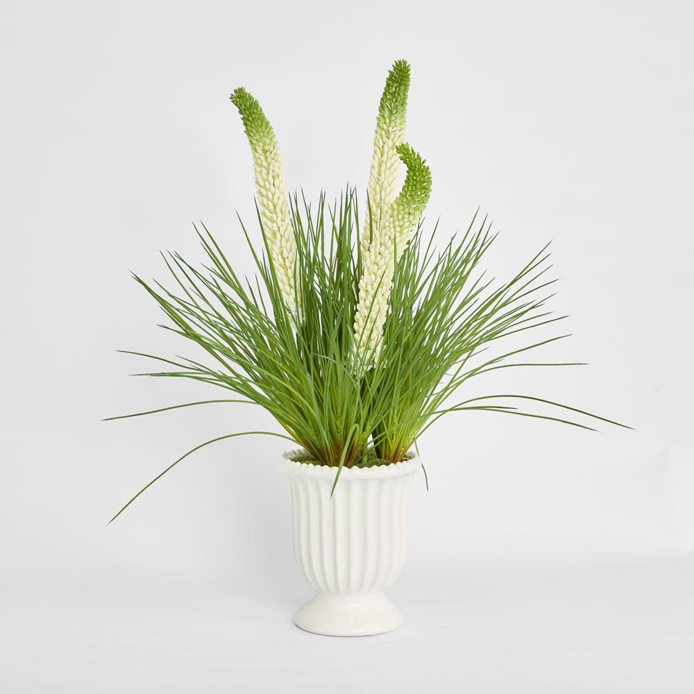 Cream Foxtail Arrangement White