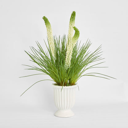 Cream Foxtail Arrangement White