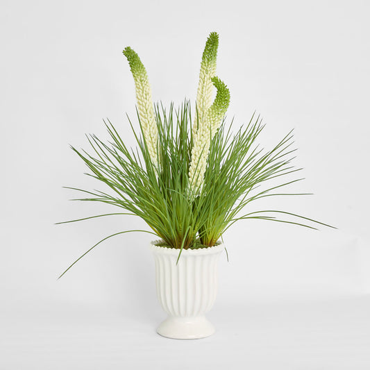 Cream Foxtail Arrangement White