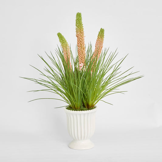 Pink Foxtail Arrangement White