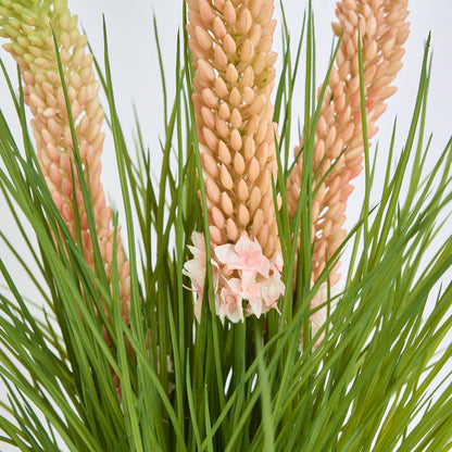 Pink Foxtail Arrangement White