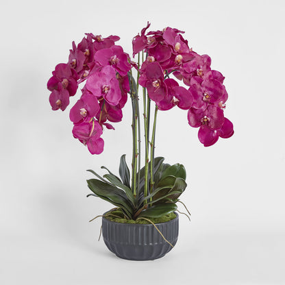 Oreana Arrangement Black