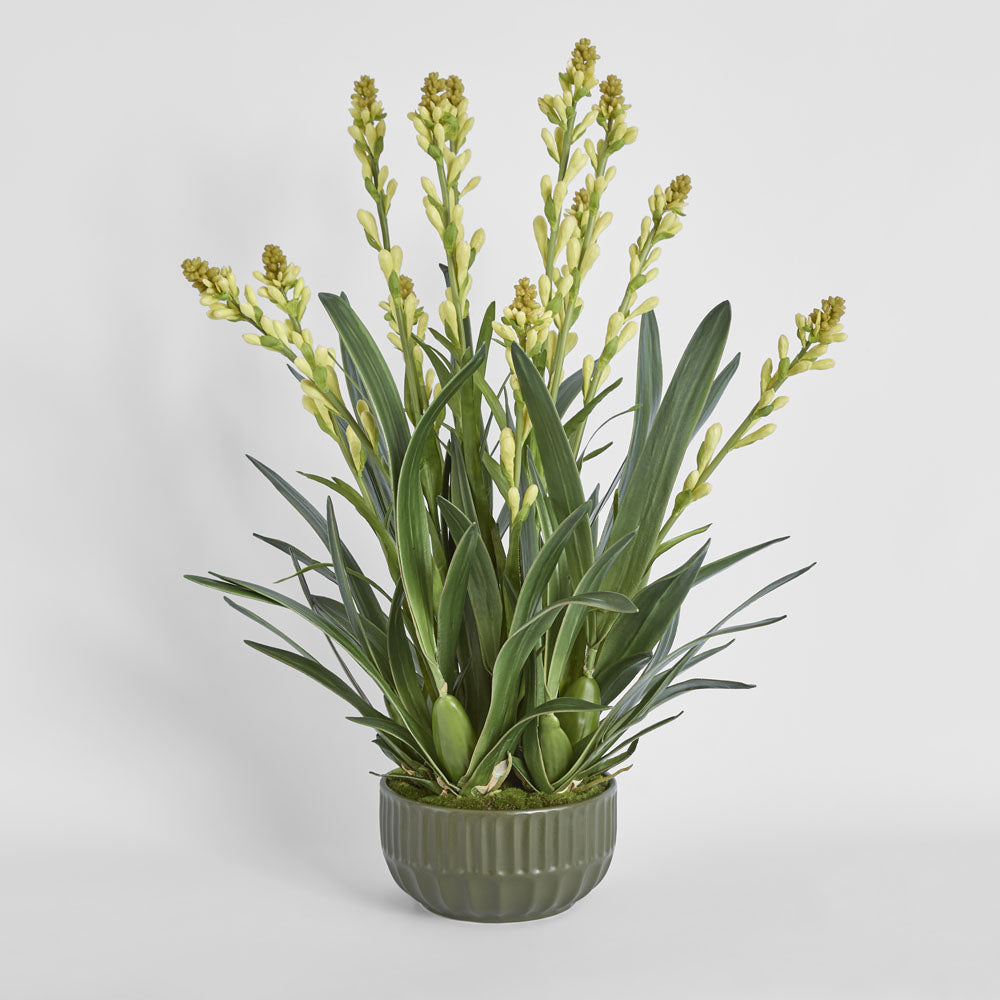 Tahlia Arrangement Olive