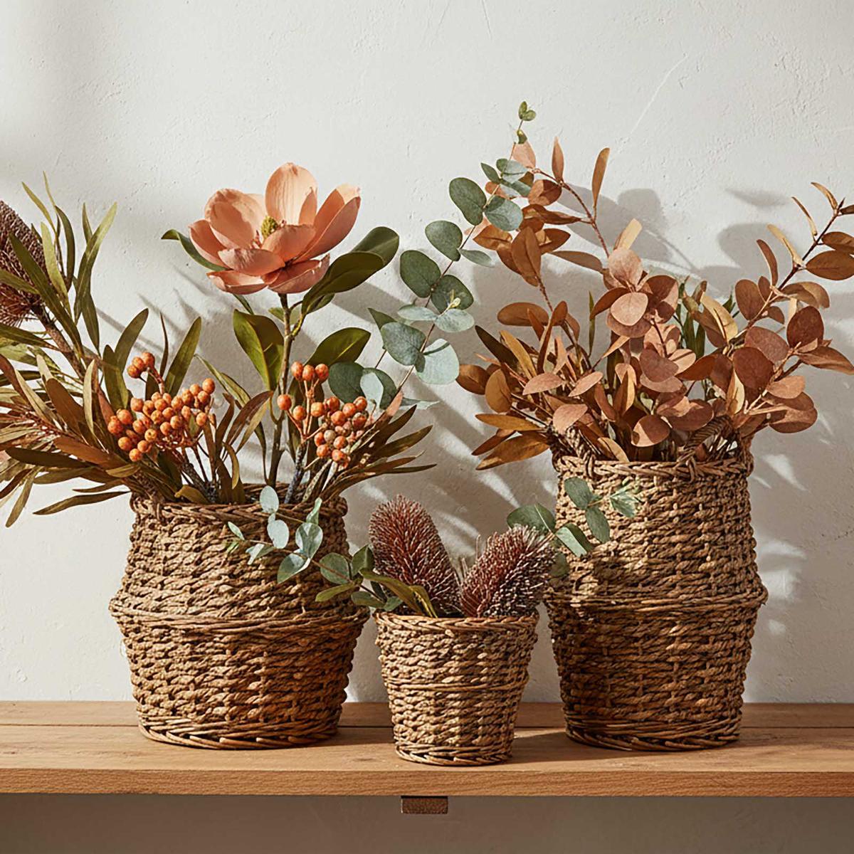 Dried Look Banksia Stem 56cm Brown