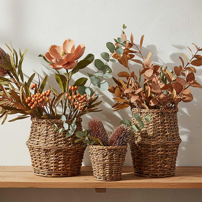 Dried Look Banksia Stem 56cm Brown
