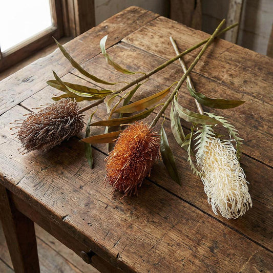 Dried Look Banksia Stem 56cm Tan