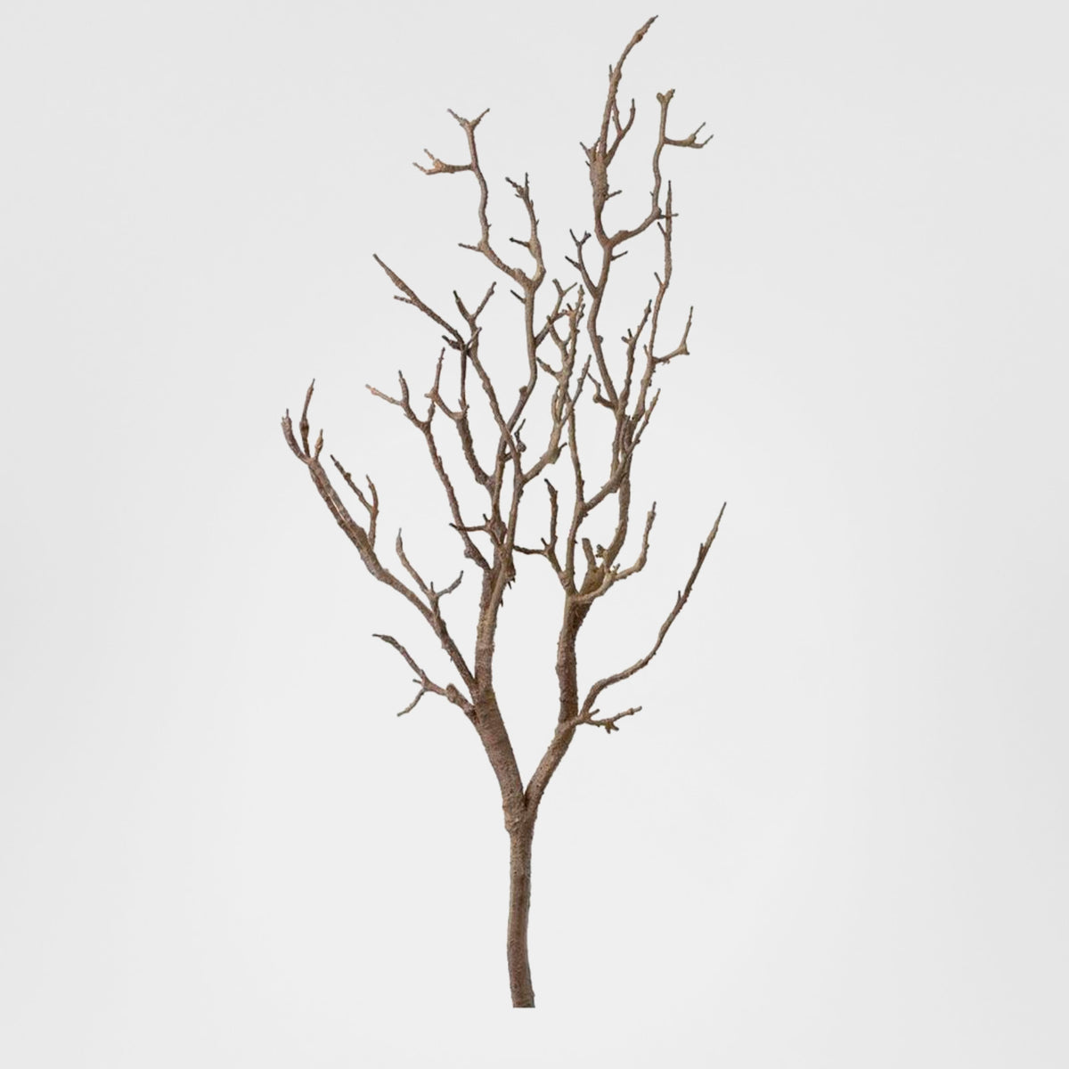 Branch Natural 1m