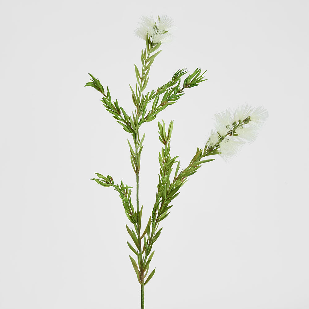 Bottle Brush Spray 84cm White