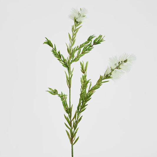 Bottle Brush Spray 84cm White