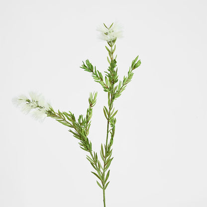 Bottle Brush Spray 84cm White