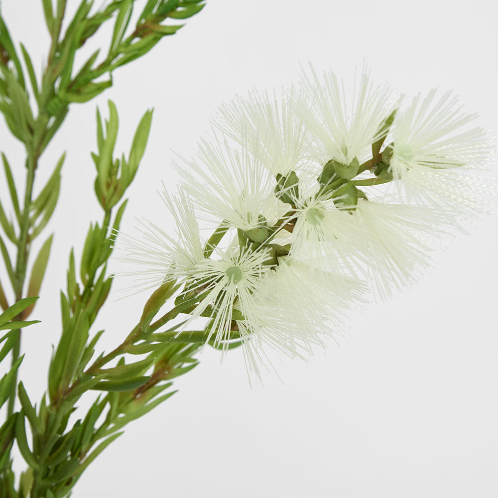 Bottle Brush Spray 84cm White