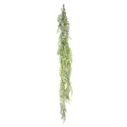 Wild Hanging Vetch Bush 1.6m