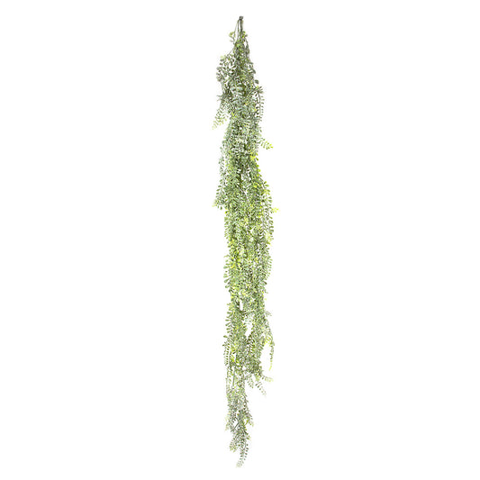 Wild Hanging Vetch Bush 1.6m