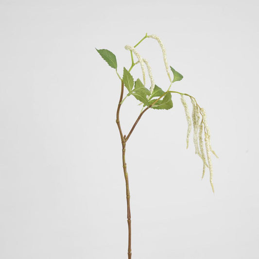 Amaranthus Hanging Plant 90cm White
