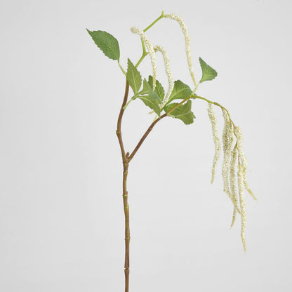 Amaranthus Hanging Plant 90cm White