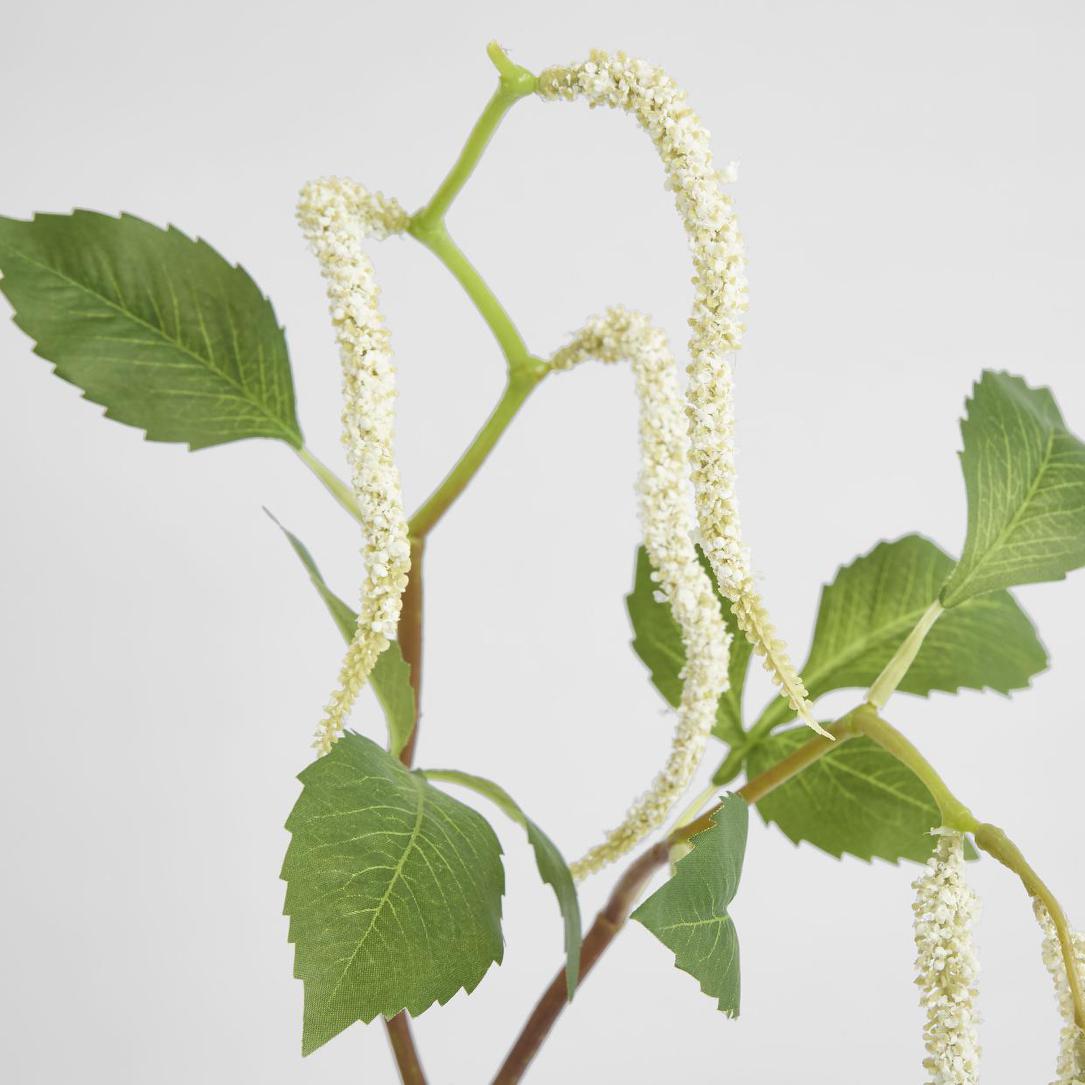 Amaranthus Hanging Plant 90cm White