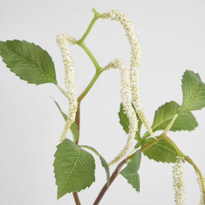 Amaranthus Hanging Plant 90cm White