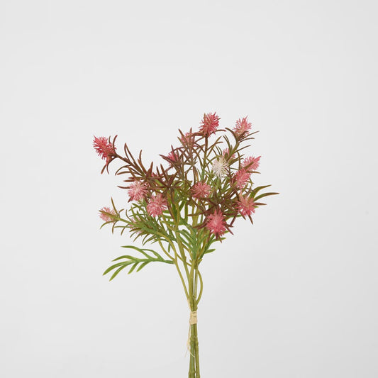 Wild Berry Bundle Dark Pink