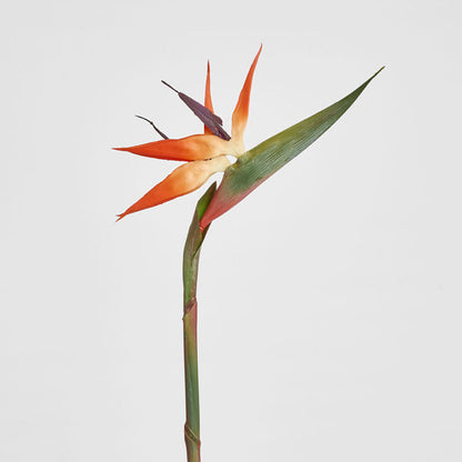 Bird of Paradise Stem 95cm