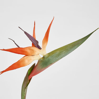 Bird of Paradise Stem 95cm