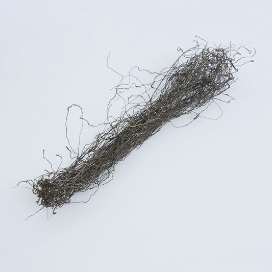 Bramble Vine 50cm Brown