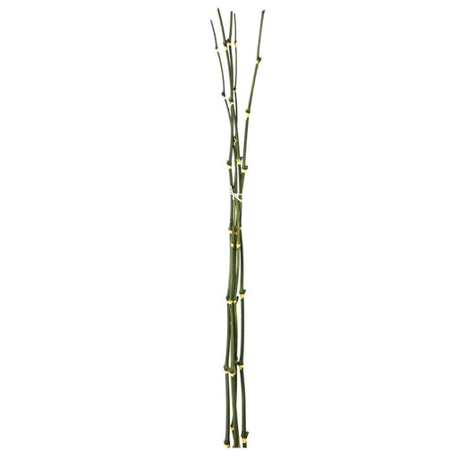 Bamboo twig Bundle 98cm Green