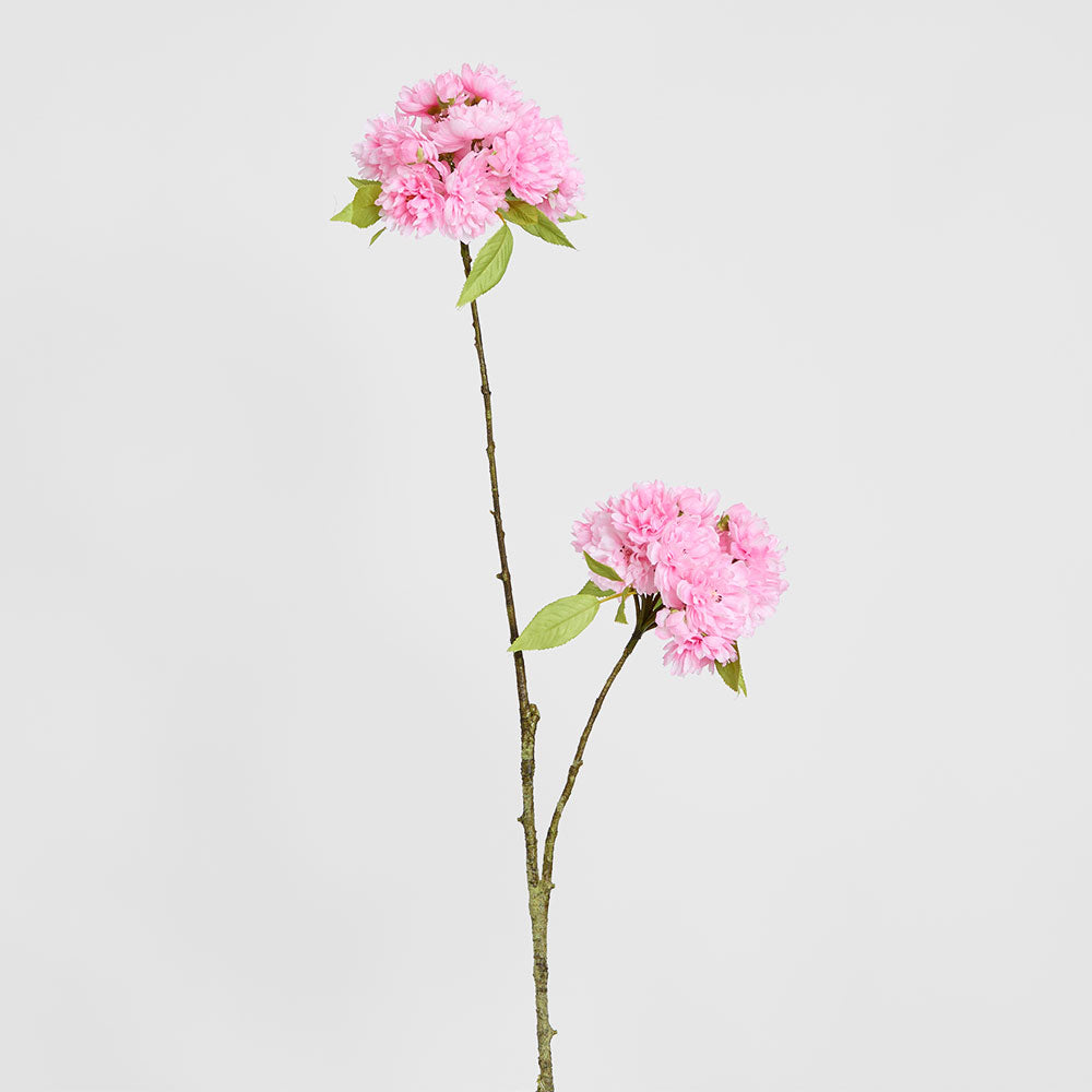 Cherry Blossom Spray 72cm Light Pink | Florabelle Living