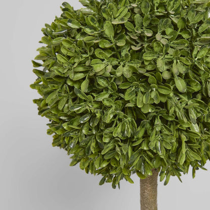 Boxwood Topiary 47cm