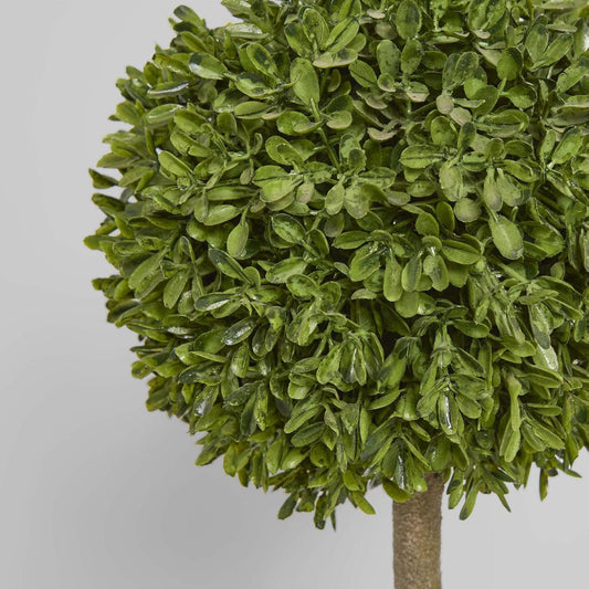 Boxwood Topiary 47cm