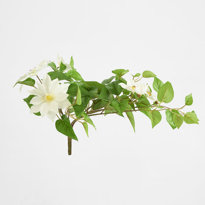 Trailing Clematis Bush White UV Coated