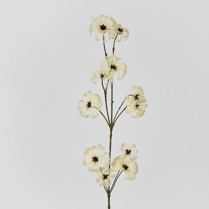 Wild Cotton Spray