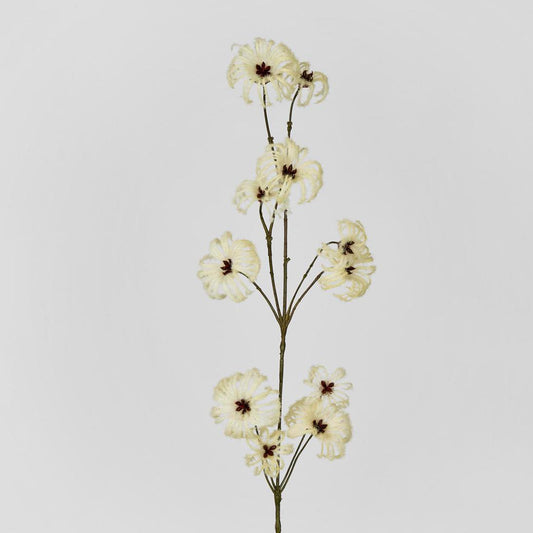 Wild Cotton Spray