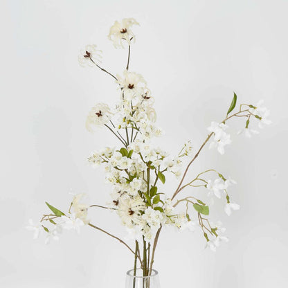 Wild Cotton Spray