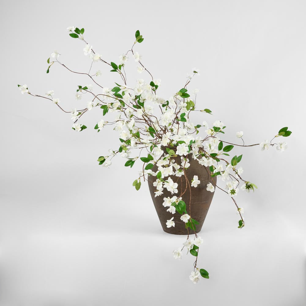 Wild Clematis Spray