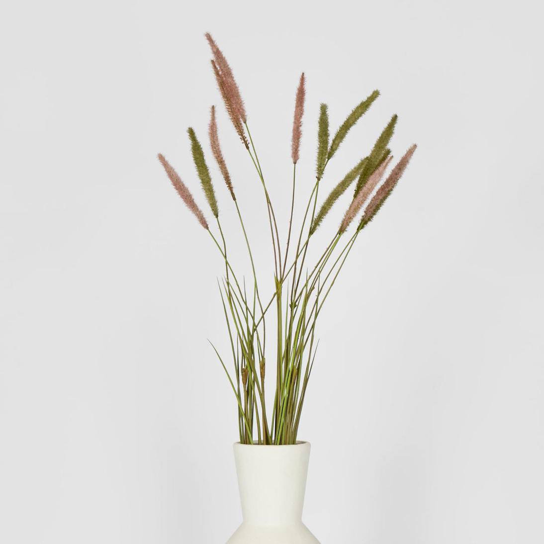 Foxtail grass Spray Green