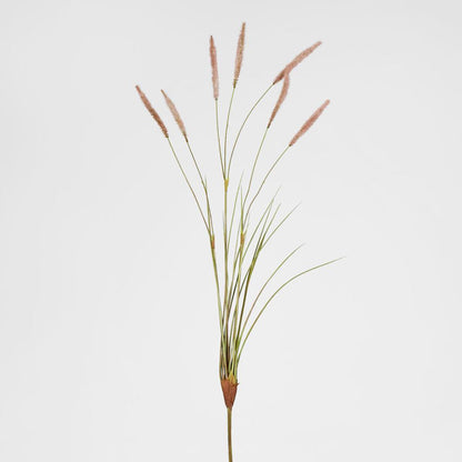 Foxtail grass Spray Pink