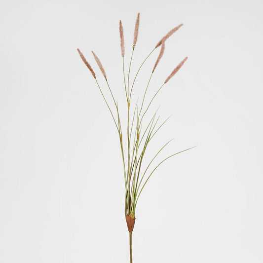 Foxtail grass Spray Pink