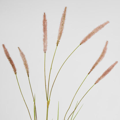 Foxtail grass Spray Pink