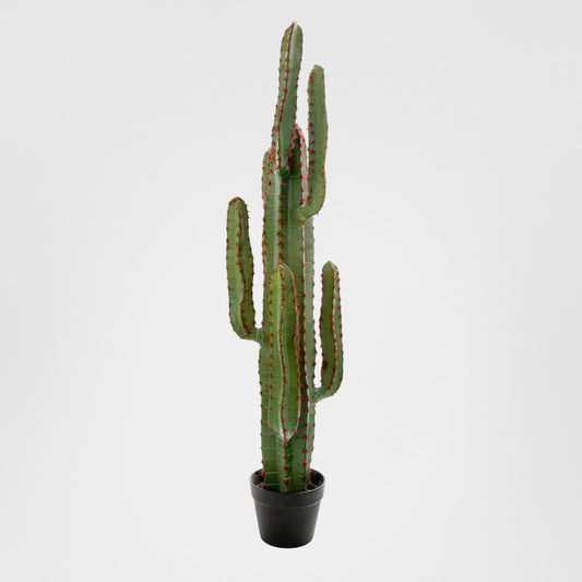 Desert Cactus XL 1.15m