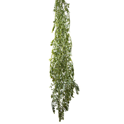 Hanging Citrus Bush 1.6m
