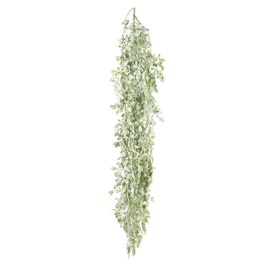Hanging Citrus Bush 1.6m