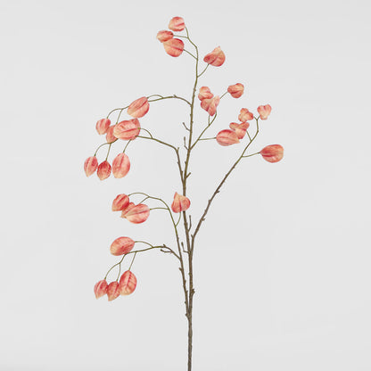 Chinese Lantern Pink 114cm