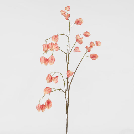 Chinese Lantern Pink 114cm