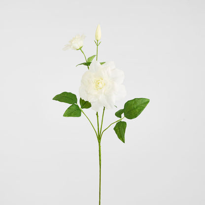 Clematis Flower White 72cm