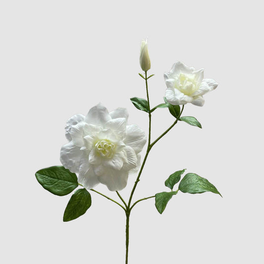 Clematis Flower White 72cm