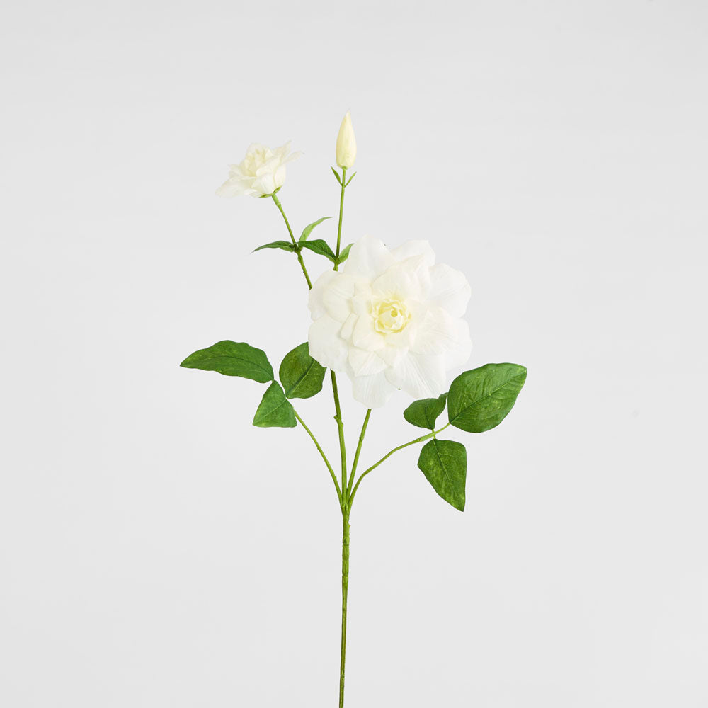 Clematis Flower White 72cm