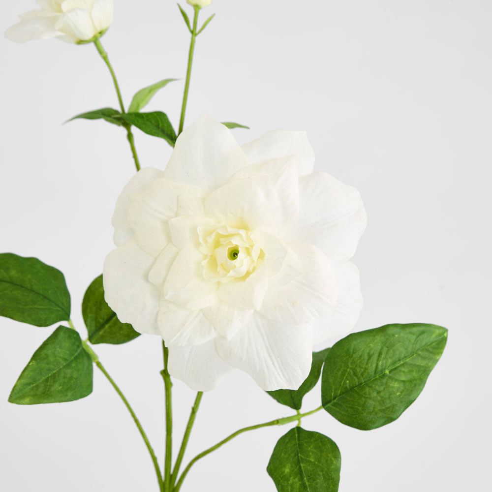 Clematis Flower White 72cm